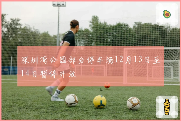 深圳湾公园部分停车场12月13日至14日暂停开放